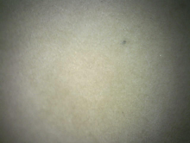 運転後汚染状態
